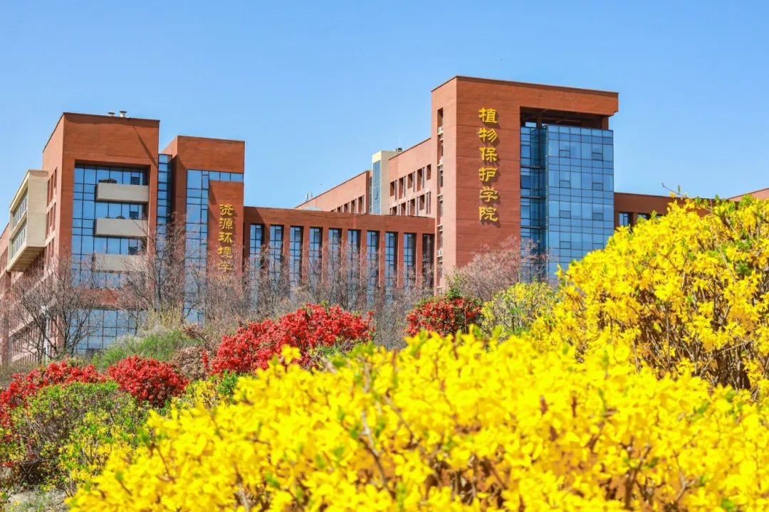 西北农林科技大简介_西北科技农林大学排名_西北农林科技大学