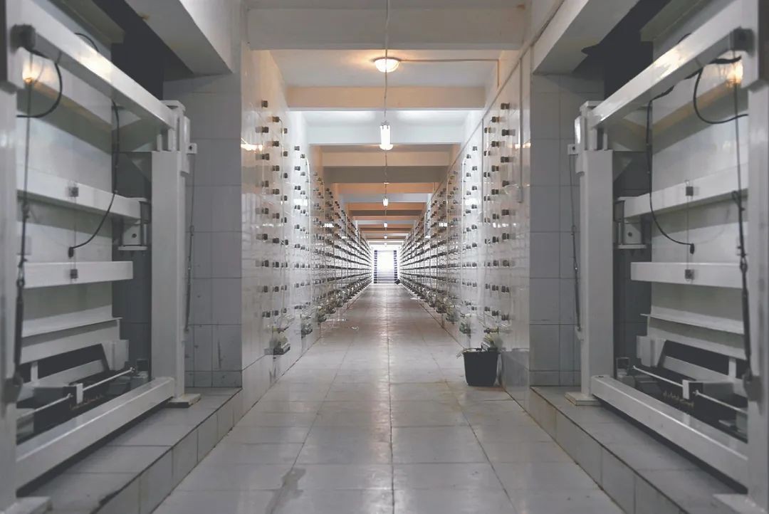 西北农林科技大学_西北农林科技大简介_西北科技农林大学排名