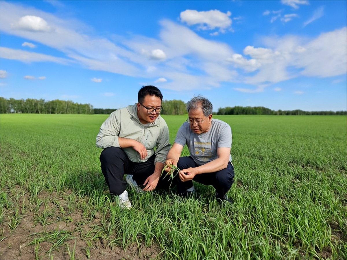 西北农林科技大简介_西北农林科技大学_西北科技农林大学排名