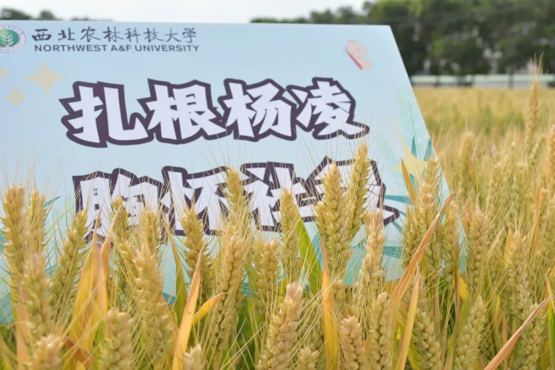 西北农林科技大学_西北农林科技大学门户_西北农林科技大简介