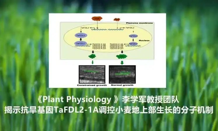 西北农林科技大简介_西北农林科技大学门户_西北农林科技大学