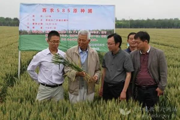 西北农林科技大学门户_西北农林科技大学_西北农林科技大简介