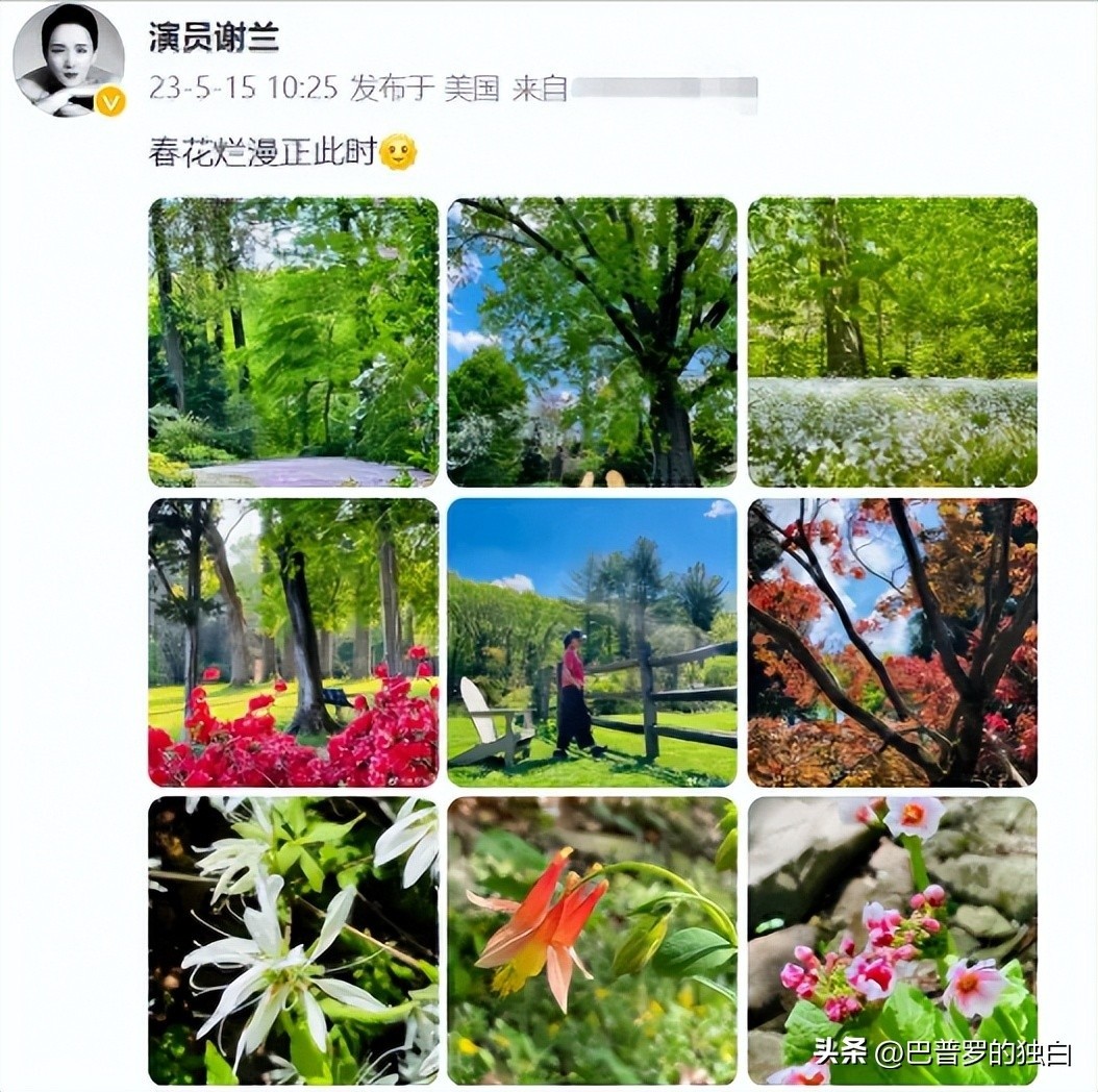 北京电影学院校友_北京电影学院校友会_北京电影学院知名校友百度百科