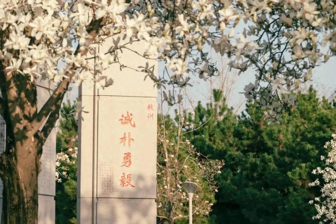 西北农林科技大学_西北农林大学科技大学官网_西北农林科技大简介