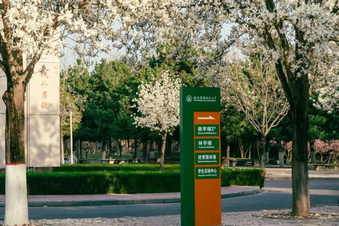 西北农林科技大学_西北农林科技大简介_西北农林大学科技大学官网