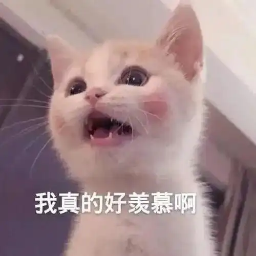 港中深三位一体试题_港中深_港中深本科面试