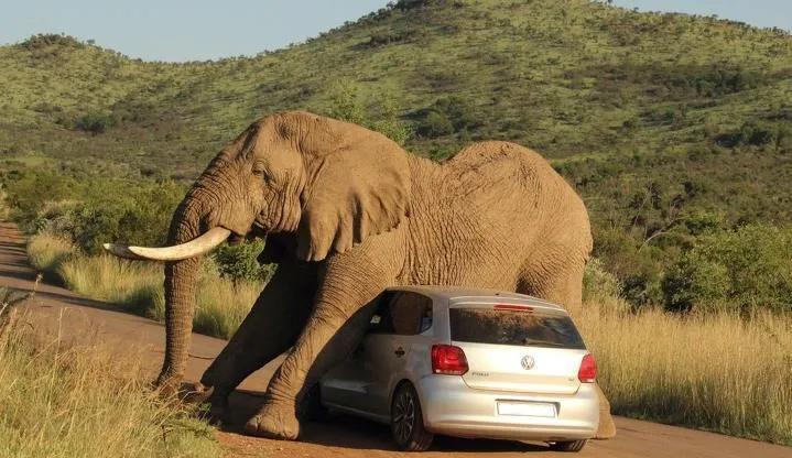 避孕贴怎么用_避孕贴避孕效果好么_避孕贴好使吗