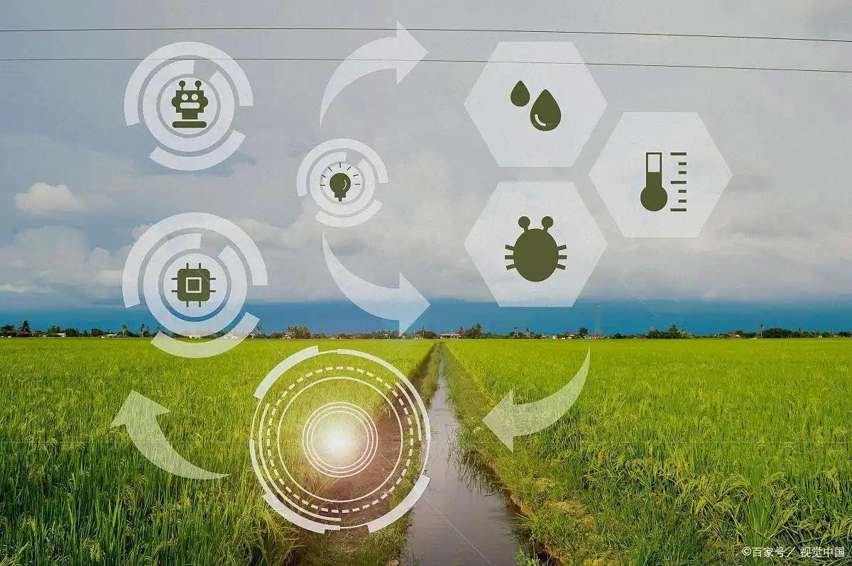 西北农林科技大学_西北科技农林大学是985吗_西北科技农林大学排名