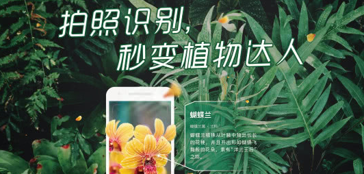 维仕美破壁机怎么用_维仕美破壁机_维仕美破壁机售后服务电话