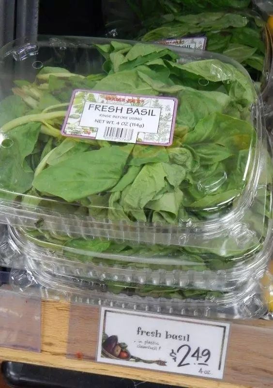 百度番茄钟_番茄钟 知乎_番茄钟app知乎