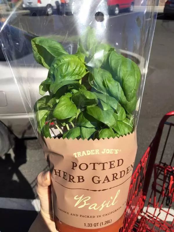 番茄钟 知乎_番茄钟app知乎_百度番茄钟
