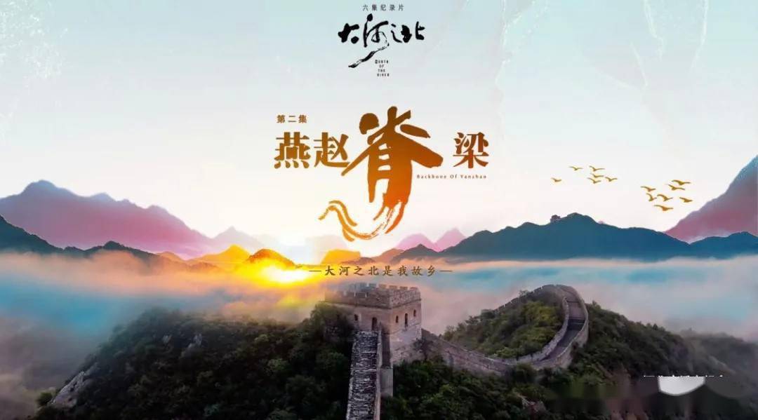 北京电影学院副教授_北京电影学院教授_电影学院表演学院副院长