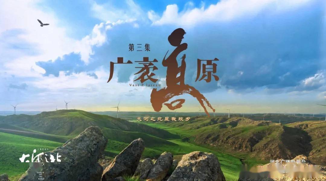 北京电影学院副教授_北京电影学院教授_电影学院表演学院副院长