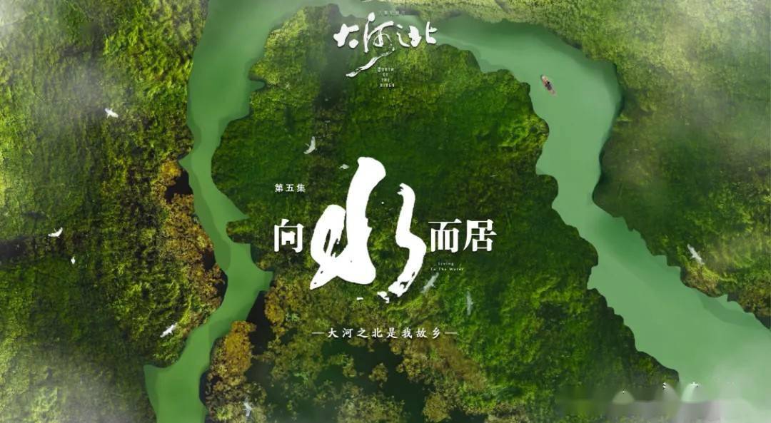 北京电影学院副教授_电影学院表演学院副院长_北京电影学院教授