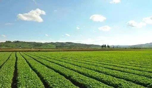 创业失败是否需要赔偿投资方_创业失败赔钱_创业失败全赔光了怎么办