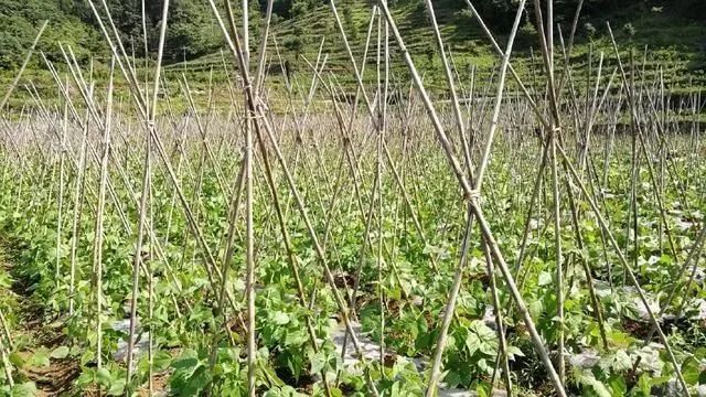 创业失败赔钱_创业失败是否需要赔偿投资方_创业失败全赔光了怎么办