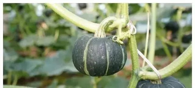 创业失败全赔光了怎么办_创业失败赔钱_创业失败是否需要赔偿投资方