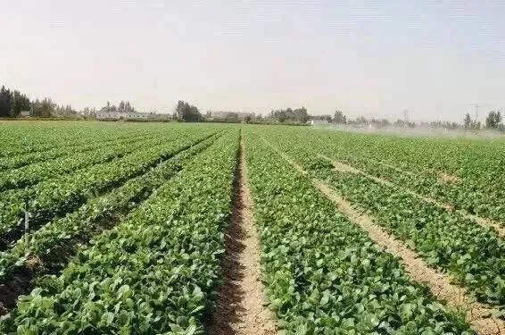 创业失败赔钱_创业失败全赔光了怎么办_创业失败是否需要赔偿投资方