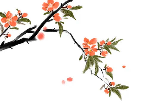 厦门大学校友_厦门大学杰出校友_厦门大学校友名录查询