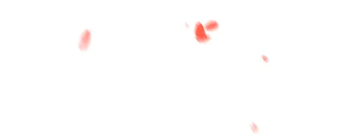 厦门大学校友_厦门大学校友名录查询_厦门大学杰出校友