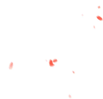 厦门大学校友_厦门大学杰出校友_厦门大学校友名录查询