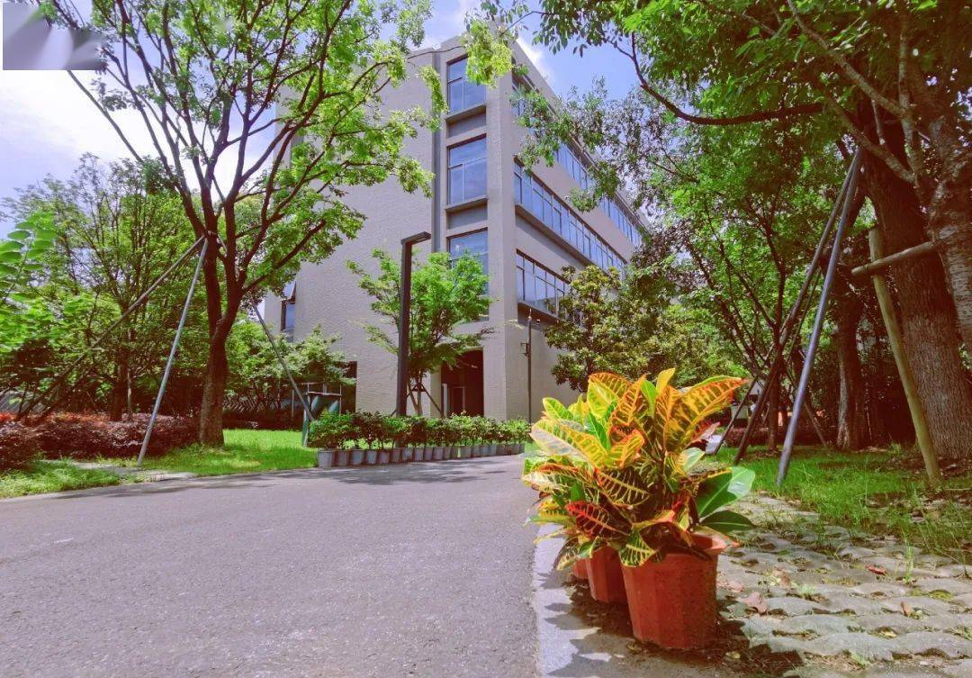 北京外国语学院毕业可以去哪里_毕业于北京外国语大学_北京外国语大学毕业的