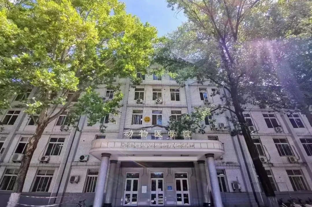 西北农林科技大学门户_西北科技农林大学是985吗_西北农林科技大学