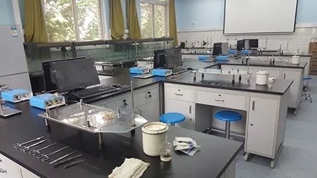 西北农林科技大学门户_西北农林科技大学_西北科技农林大学是985吗