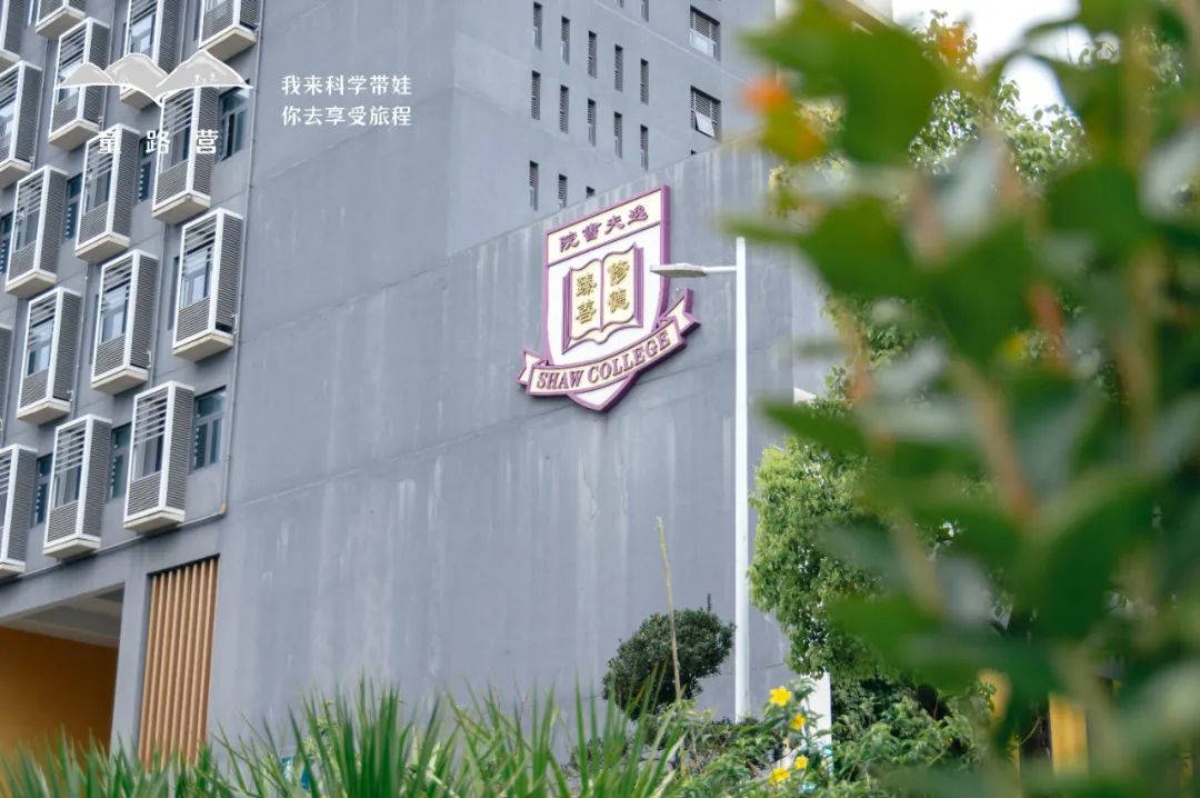 香港大学深圳_香港大学中文系深圳校区_香港中文大学深圳校区