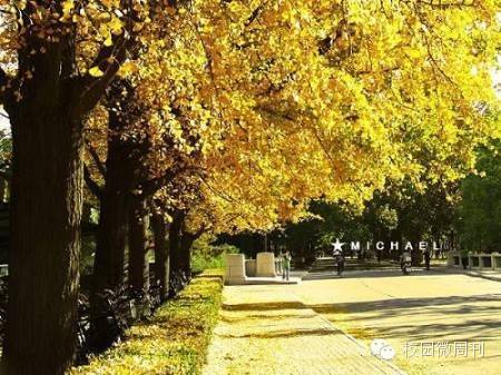 大学现代汉语_现代汉语大学_汉语现代大学专业排名