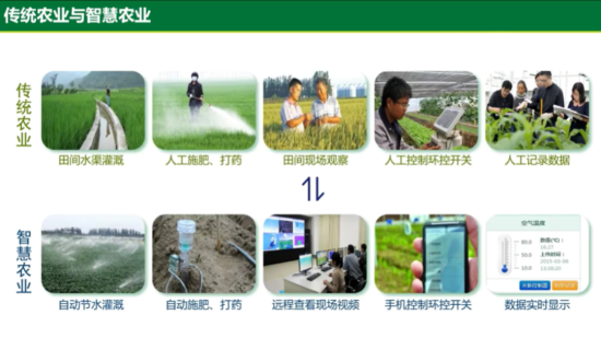 西北农林大学科技大学官网_西北农林科技大简介_西北农林科技大学