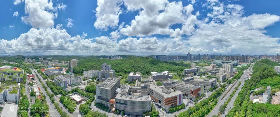 香港中文大学（深圳）_中文香港大学深圳怎么样_香港大学中文系深圳校区
