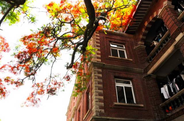 厦门大学毕业_厦门本科毕业生_厦门毕业生