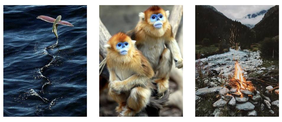 番茄钟好用吗_安卓最好用番茄钟_番茄钟安卓苹果互通嘛