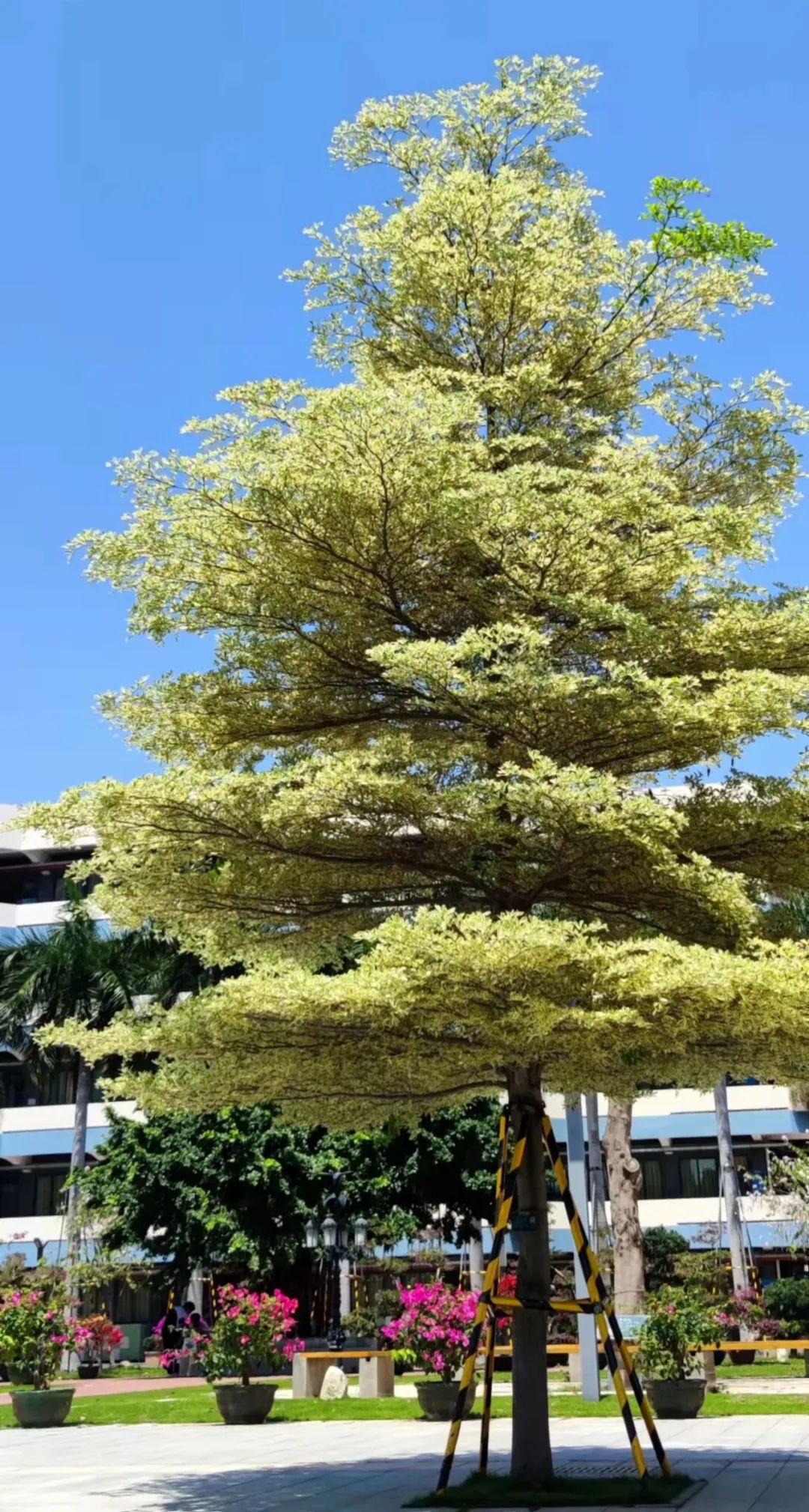 港中深_上交金融pk港中深_港中深分数线