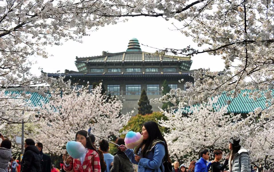 华侨联考生是什么意思_华侨联考生与统考生的区别_华侨生联考