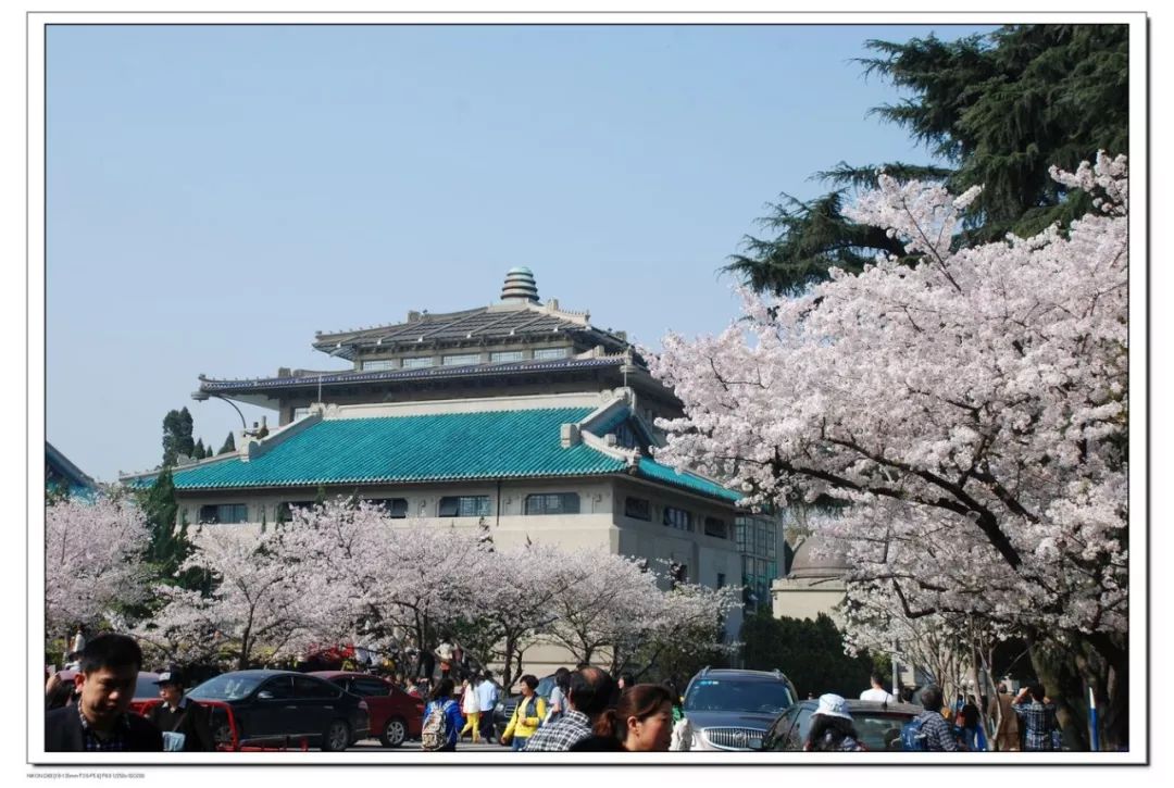 华侨联考生与统考生的区别_华侨生联考_华侨联考生是什么意思