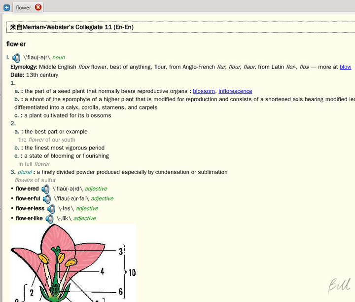 思维导图软件番茄钟_番茄思维数学怎么样_番茄钟倒计时是什么意思
