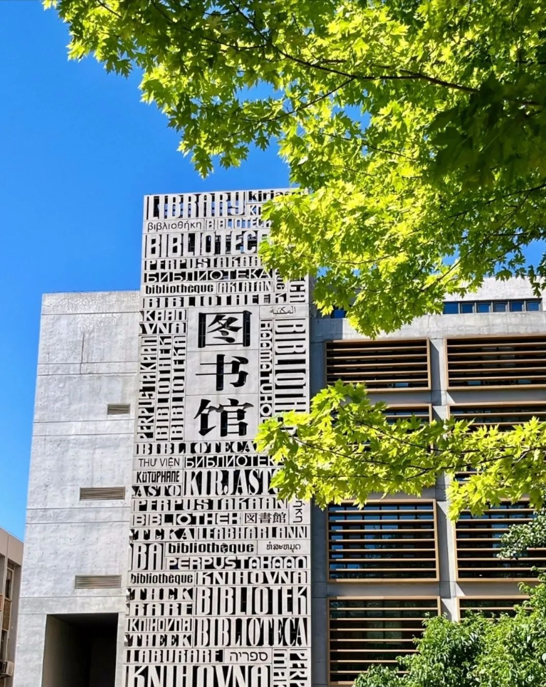 北京外国语大学毕业去向_北京外国语大学毕业什么工作_北京外国语大学毕业