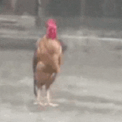 番茄钟电脑版_番茄钟网页版_百度番茄钟