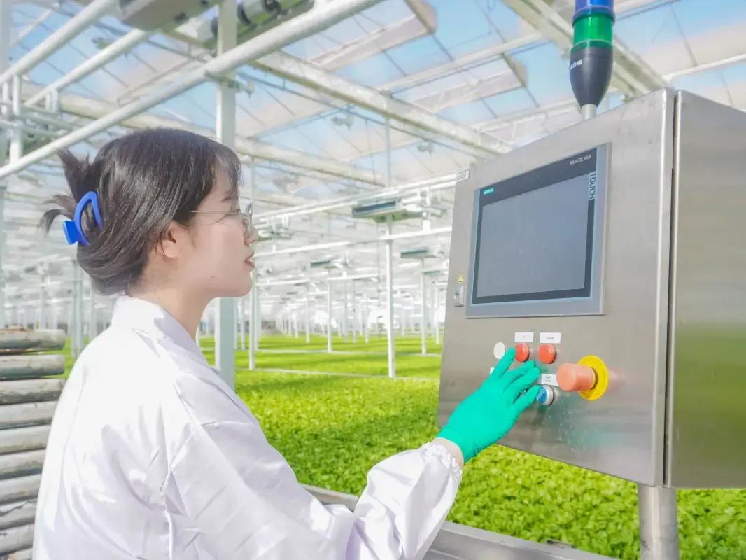 西北农林大学科技大学官网_西北农林科技大学_西北科技农林大学排名