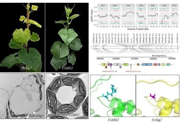 西北科技农林大学排名_西北农林大学科技大学官网_西北农林科技大学