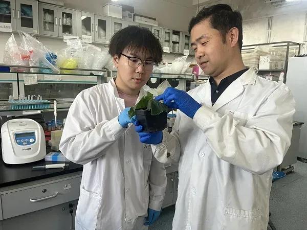 西北科技农林大学排名_西北农林大学科技大学官网_西北农林科技大学