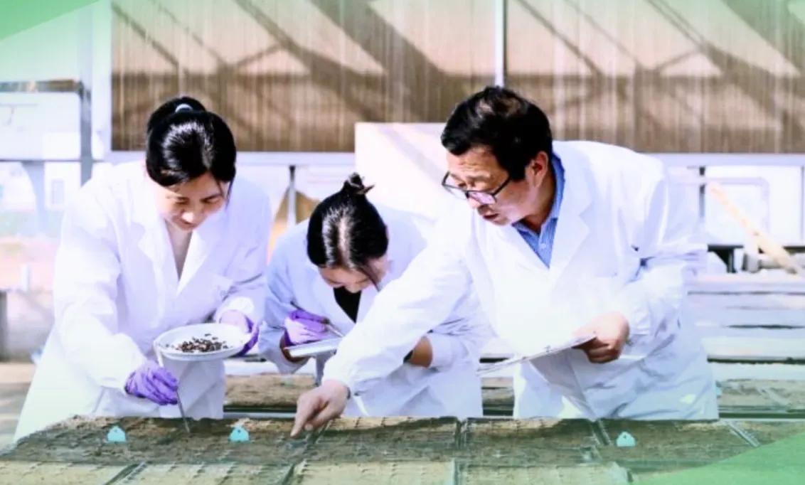 西北农林大学科技大学官网_西北农林科技大学_西北科技农林大学排名