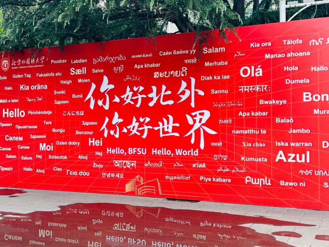北京外国语学院毕业可以去哪里_毕业于北京外国语大学_北京外国语大学毕业可以干什么