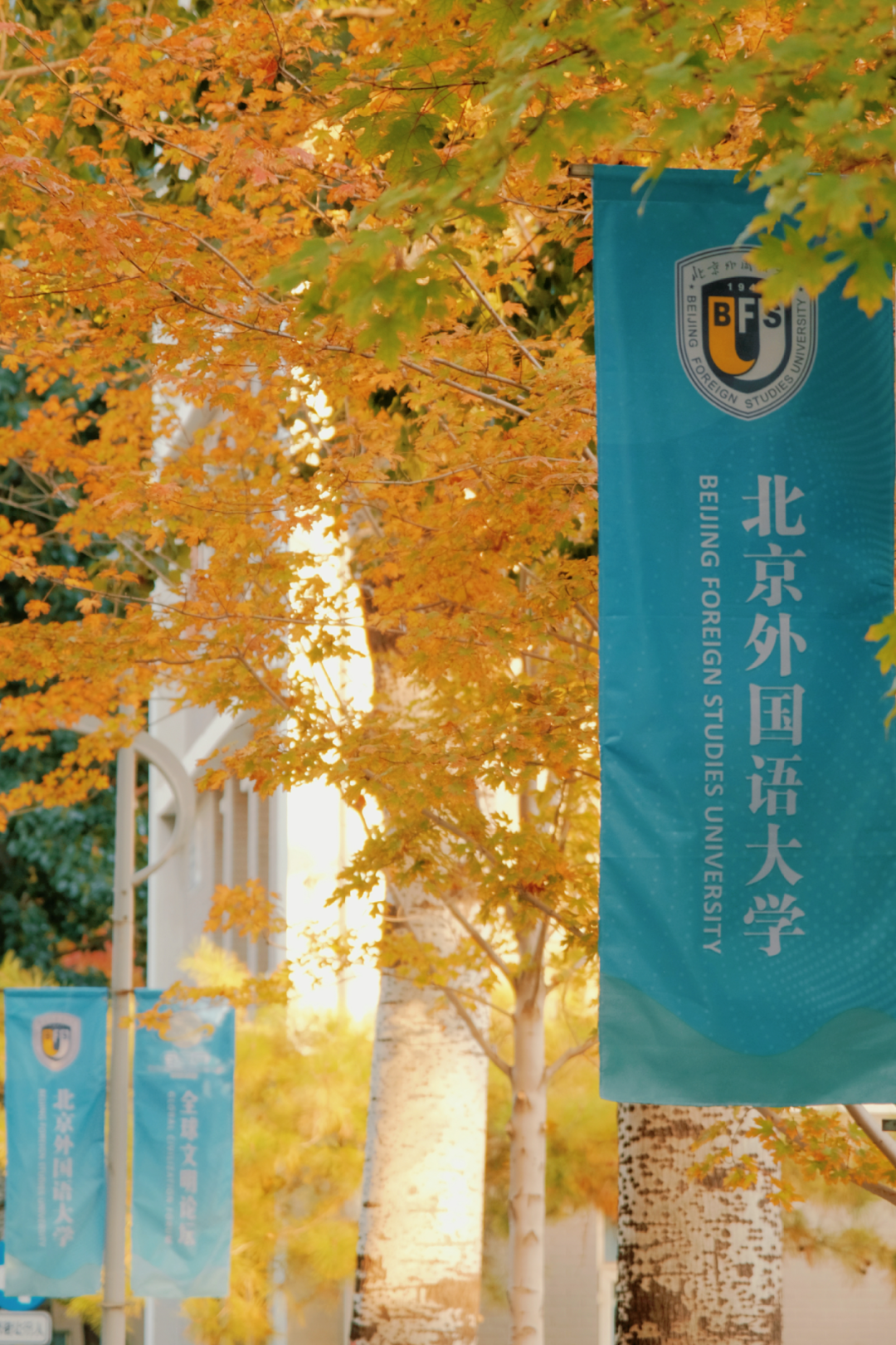 毕业于北京外国语大学_北京外国语学院毕业可以去哪里_北京外国语大学毕业可以干什么