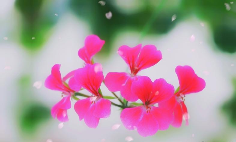 负债失败累累创业怎么办_创业失败负债_40岁创业失败负债累累