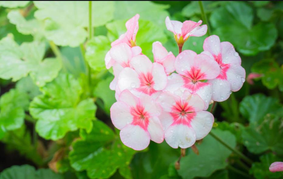 40岁创业失败负债累累_创业失败负债_负债失败累累创业怎么办