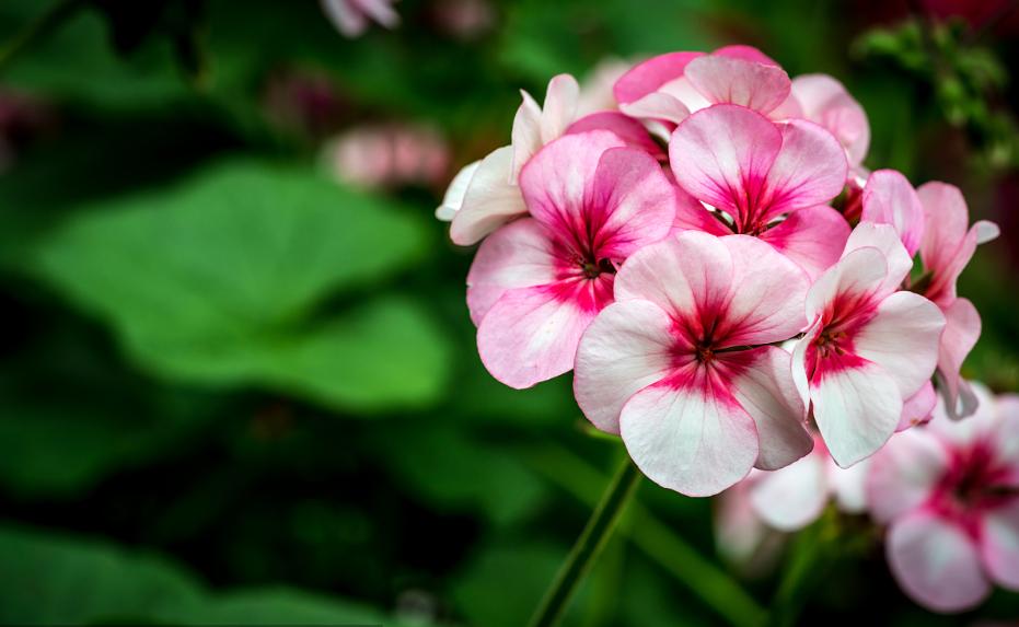 创业失败负债_负债失败累累创业怎么办_40岁创业失败负债累累