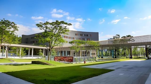 香港中文大学深圳校区_香港大学中文系深圳校区_香港大学深圳